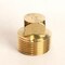 Homeplus+ ATC 3/4 in. MPT Brass Square Head Cored Plug 6JC120810701015 - alternate 2